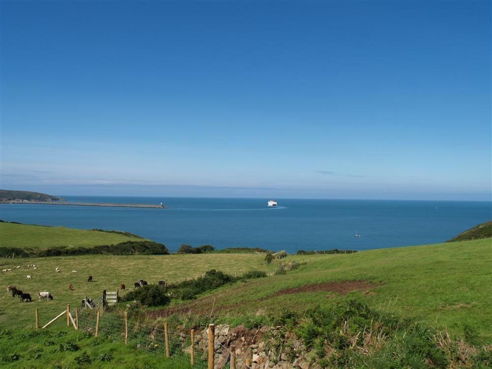 Cable Cottage Fishguard Eksteriør bilde